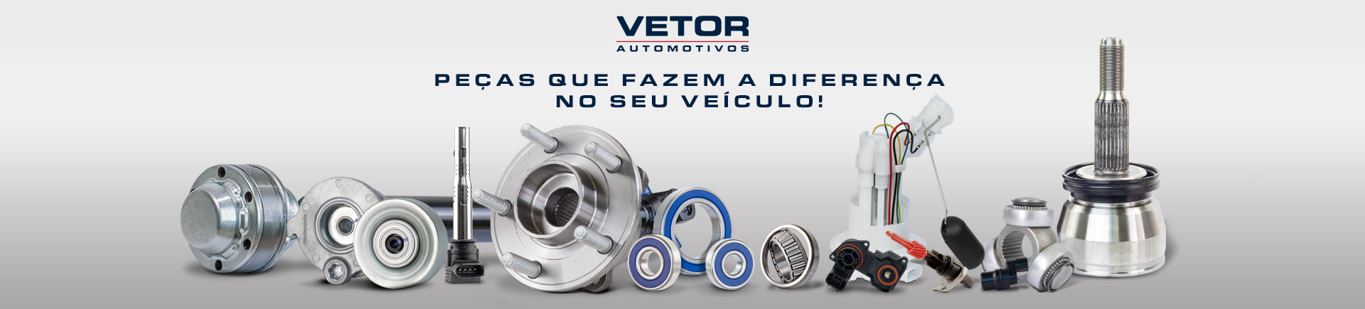 https://www.bhzpecas.com.br/VETOR - 23/11